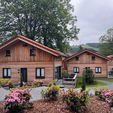 Willa Cecilienpark Oberharz Goslar Zewnętrze zdjęcie