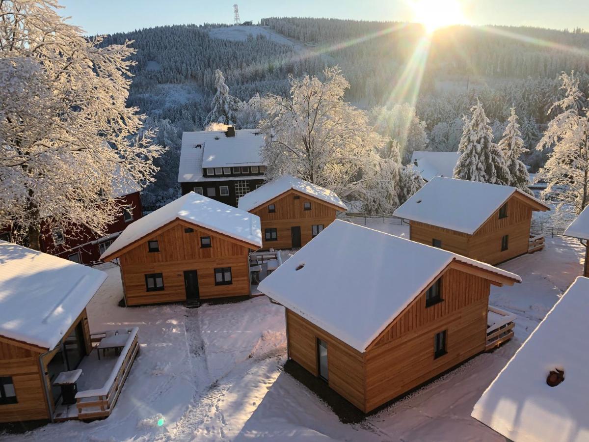Willa Cecilienpark Oberharz Goslar Zewnętrze zdjęcie