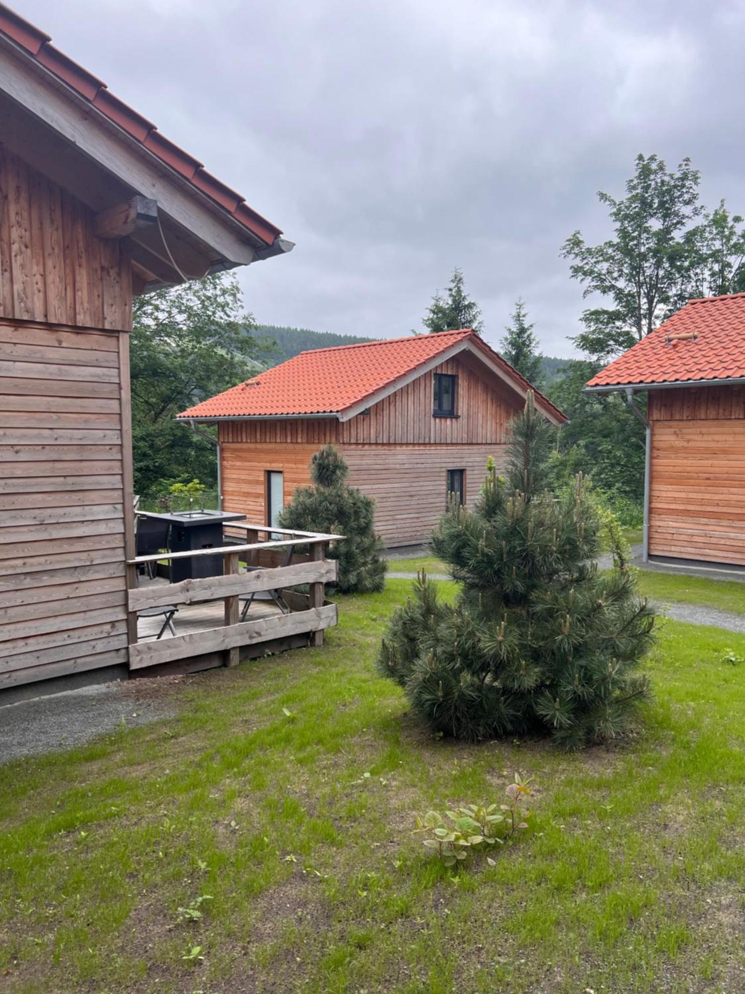 Willa Cecilienpark Oberharz Goslar Zewnętrze zdjęcie