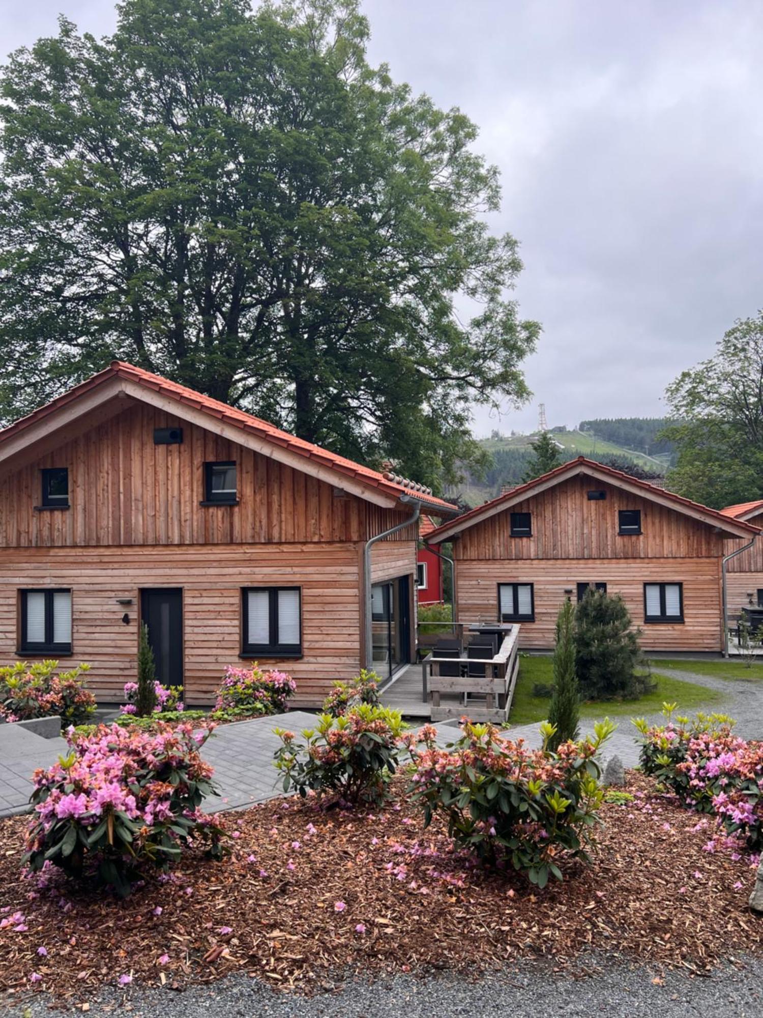 Willa Cecilienpark Oberharz Goslar Zewnętrze zdjęcie