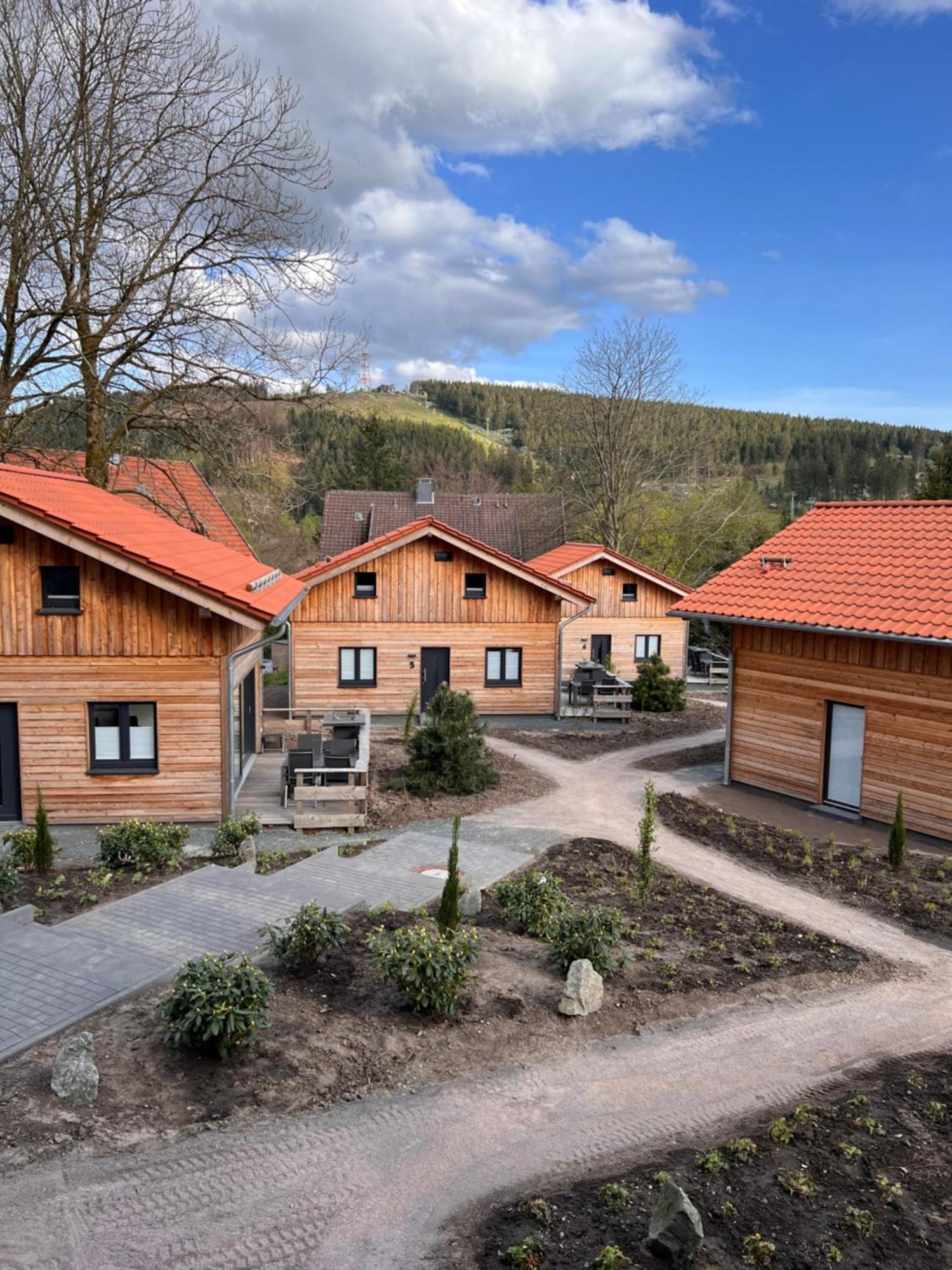 Willa Cecilienpark Oberharz Goslar Zewnętrze zdjęcie
